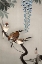 Picture of RING SPARROWS AT WISTERIA