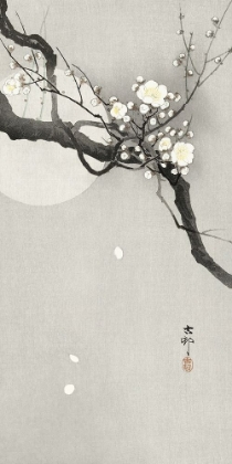 Picture of PLUM BLOSSOM AND FULL MOON