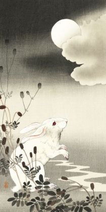Picture of RABBIT AT FULL MOON