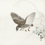 Picture of FLYING QUAIL