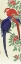 Picture of RED AND A BLUE PARROT
