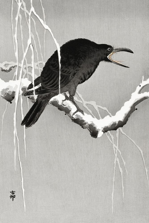 Picture of CROW ON SNOWY TREE BRANCH