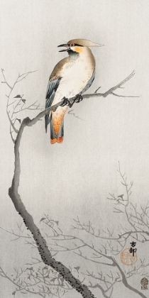 Picture of JAPANESE PLAGUE BIRD ON BRANCH