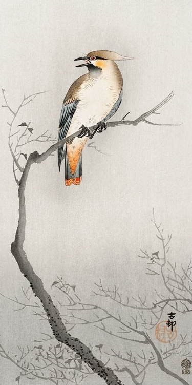 Picture of JAPANESE PLAGUE BIRD ON BRANCH