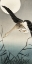 Picture of WHITE-FRONTED GOOSE AT FULL MOON