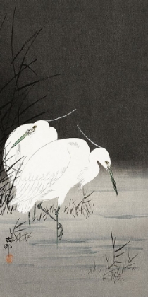 Picture of TWO EGRETS IN THE REEDS