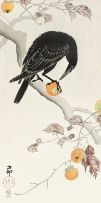Picture of CROW WITH KAKI FRUIT