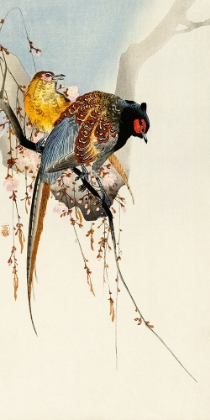 Picture of PHEASANT COUPLE AND PLUM BLOSSOM