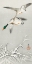 Picture of TWO WILD DUCKS IN FLIGHT