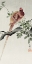 Picture of COPPER PHEASANT