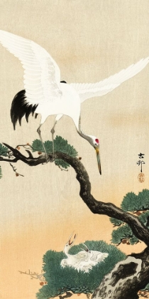 Picture of JAPANESE CRANE BIRD ON BRANCH OF PINE