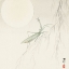 Picture of PRAYING MANTIS 