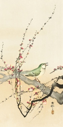 Picture of SONGBIRD AND PLUM BLOSSOM