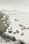 Picture of DUCKS IN THE WATER 