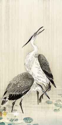 Picture of TWO HERONS IN THE RAIN
