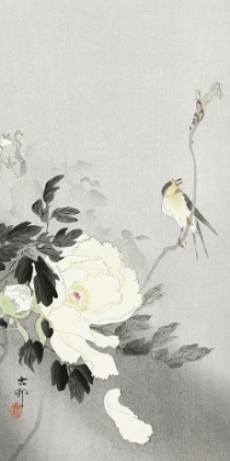Picture of SWALLOW WITH PEONY