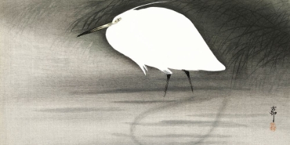 Picture of EGRET