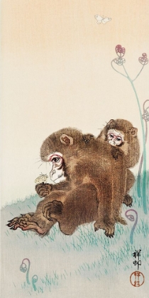 Picture of TWO MONKEYS