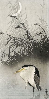 Picture of HERON AT NEW MOON
