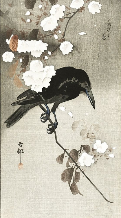 Picture of CROW WITH CHERRY BLOSSOM