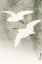 Picture of LITTLE EGRETS IN FLIGHT