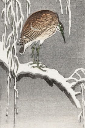 Picture of HERON ON SNOWY TREE BRANCH