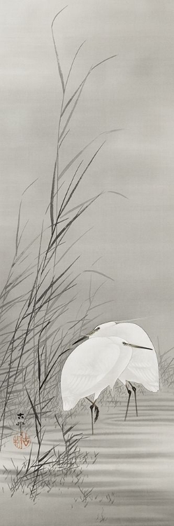 Picture of EGRETS IN A SWAMP