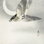 Picture of CUCKOO AT CRESCENT MOON