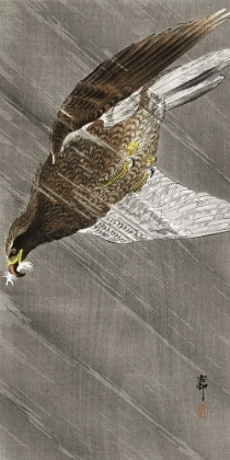 Picture of DOWNWARD FLYING EAGLE