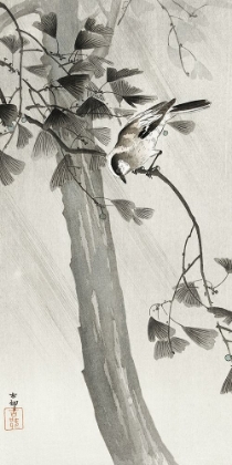 Picture of LONG-TAILED TIT IN STORM