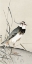 Picture of LAPWING AND REED