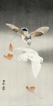Picture of TWO PIGEONS WITH FALLING GINKGO LEAVES