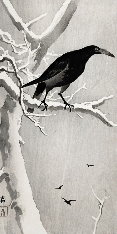 Picture of CROW ON SNOWY TREE BRANCH