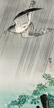 Picture of CUCKOO IN STORM 