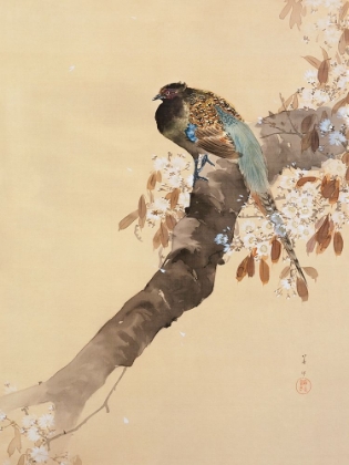 Picture of PHEASANT ON CHERRY BLOSSOM BRANCH