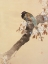 Picture of PHEASANT ON CHERRY BLOSSOM BRANCH