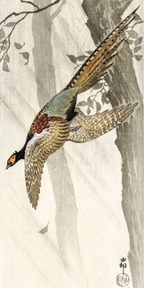 Picture of FLYING PHEASANT