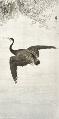 Picture of CORMORANT IN FLIGHT