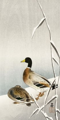 Picture of TWO DUCKS ON SNOWY REED