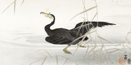 Picture of JAPANESE CORMORANT CATCHING FISH