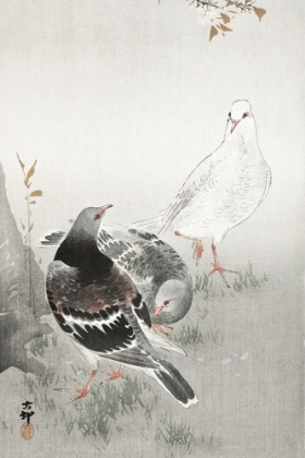 Picture of THREE PIGEONS
