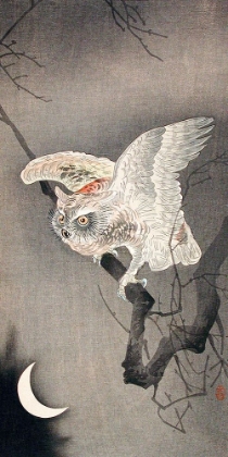 Picture of SCOPS OWL IN MOONLIGHT