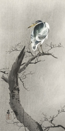 Picture of KWAK ON BRANCH