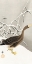 Picture of WHITE-FRONTED GOOSE IN THE SNOW