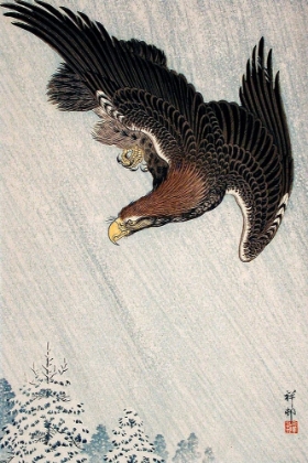 Picture of EAGLE FLYING IN SNOW