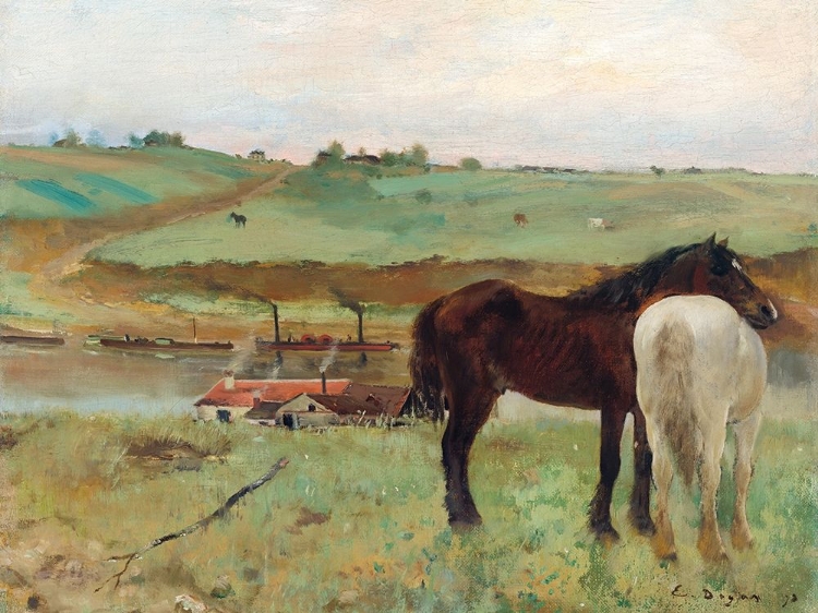 Picture of HORSE IN A MEADOW