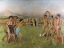 Picture of YOUNG SPARTANS EXERCISING