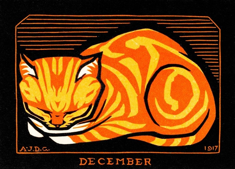 Picture of DECEMBER CAT