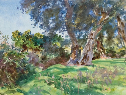 Picture of OLIVE TREES, CORFU