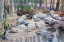 Picture of MUDDY ALLIGATORS